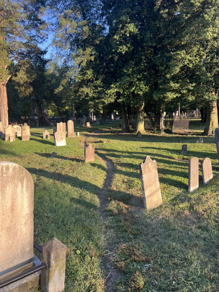 Sunlit path through an old cemetery