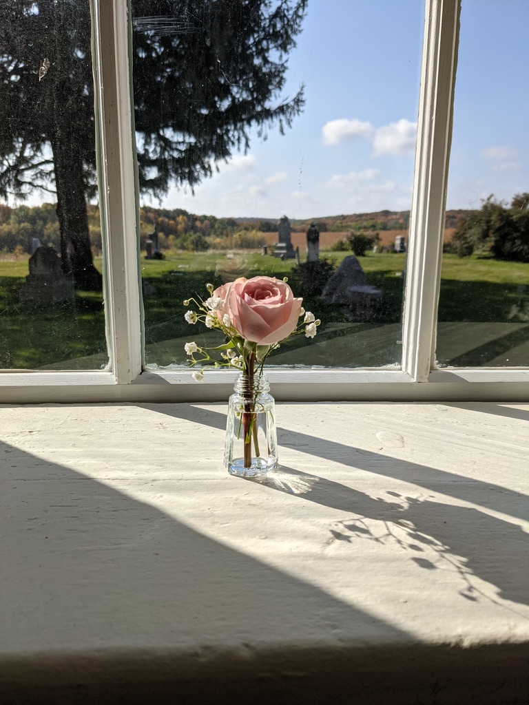 Rose in window with cemetery beyond