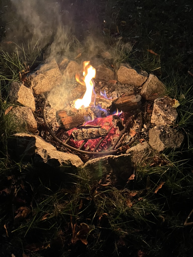 Campfire at night