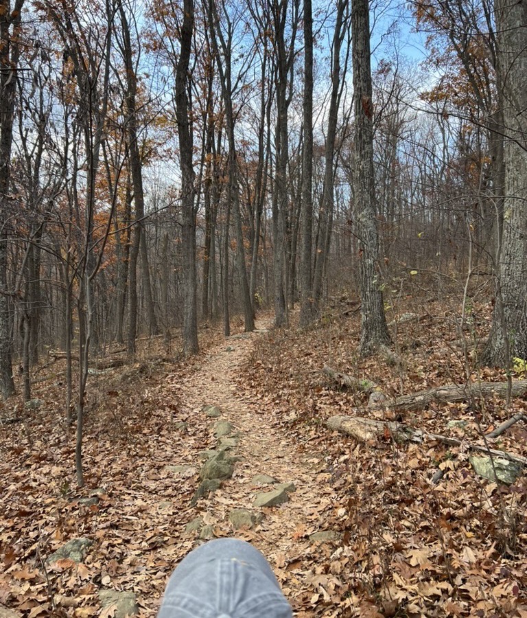 Autumn trail walk