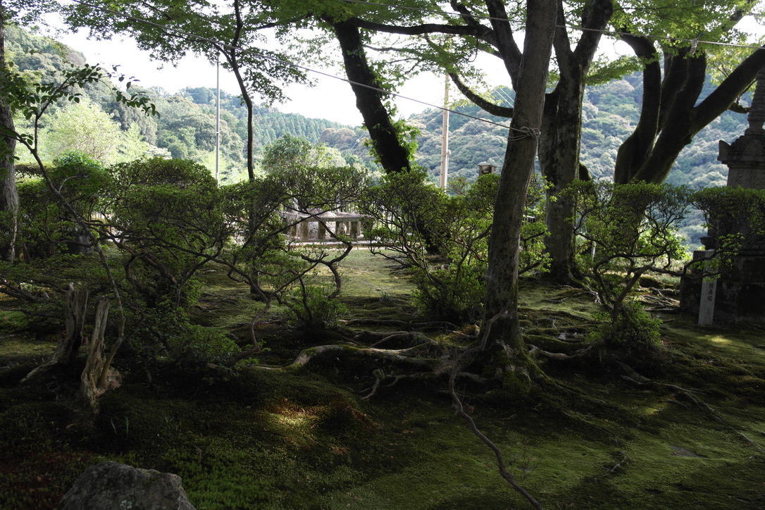 Japanese inspiration